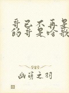 哥已不再是当年的哥是啥歌