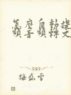 怎么自动提取视频音频转文字