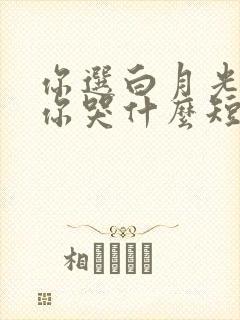 你选白月光我走你哭什么短剧免费观看