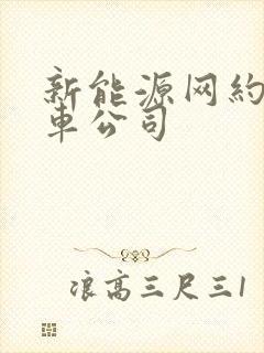 新能源网约车租车公司
