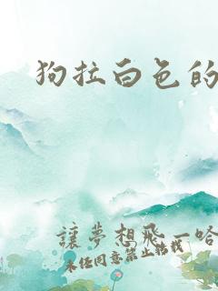 狗拉白色的稀屎