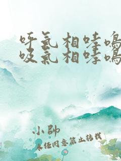 呼气相哮鸣音和吸气相哮鸣音区别