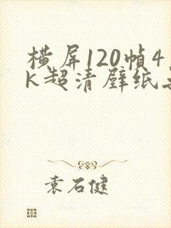 横屏120帧4k超清壁纸无水印
