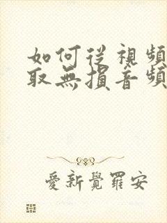 如何从视频中提取无损音频