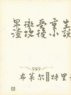 卑微受重生成为渣攻后小说
