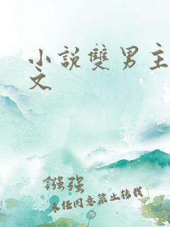 小说双男主病娇文