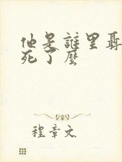 他是谁里聂小雨死了么
