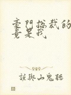 豪门总裁的老婆竟是我