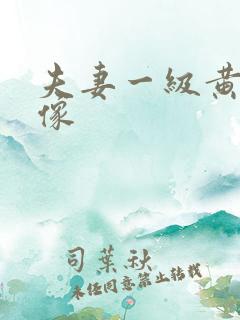 夫妻一级黄色录像