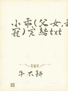 小乖(父女,甜宠)完结txt