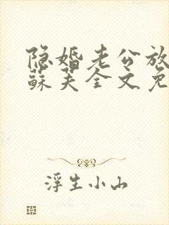 隐婚老公放肆宠苏芙全文免费阅读