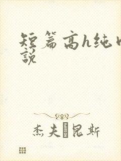 短篇高h纯肉小说