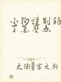 小狗让别的狗咬了怎么办