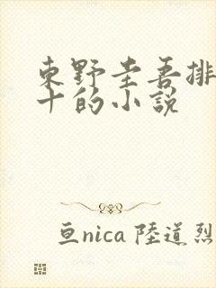东野圭吾排名前十的小说