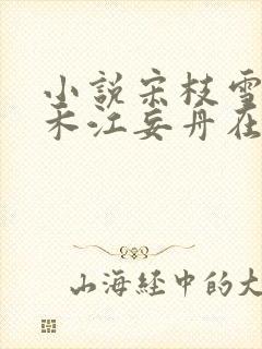 小说宋枝雪顾婉禾江妄舟在线阅读