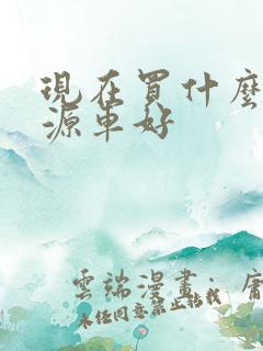 现在买什么新能源车好