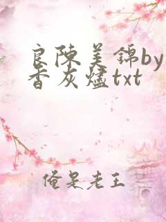 良陈美锦by沉香灰烬txt