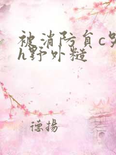 被消防员c哭高h野外糙