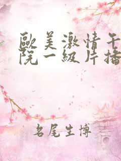 欧美激情午夜影院一级片播放,