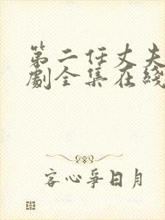 第二任丈夫电视剧全集在线观看