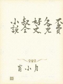 小叔好久不见小说全文免费阅读无弹窗