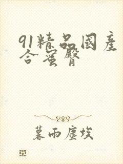 91精品国产综合蜜臀