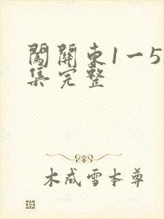 闯关东1一52集完整