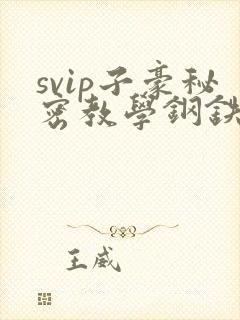 svip子豪秘密教学钢铁网下拉