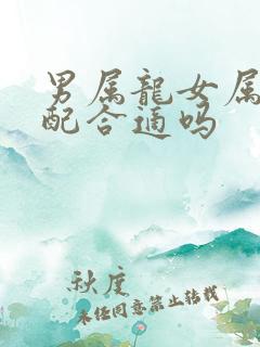 男属龙女属羊婚配合适吗