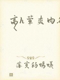 高h荤爽肉欲文〈