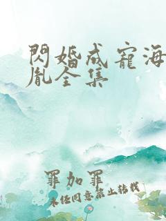 闪婚成宠海彤战胤全集
