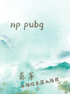np pubg