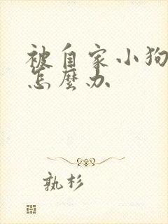 被自家小狗咬了怎么办