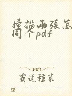扫描两张怎么放同个pdf