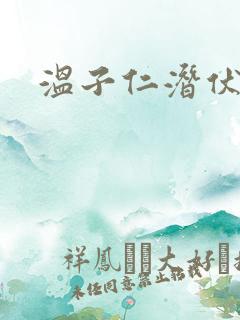 温子仁潜伏4