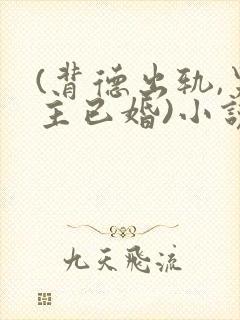 (背德出轨,男主已婚)小说