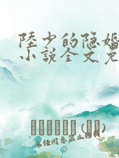 陆少的隐婚罪妻小说全文免费阅读