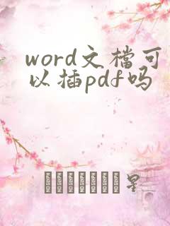 word文档可以插pdf吗