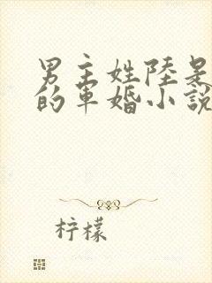 男主姓陆是首长的军婚小说