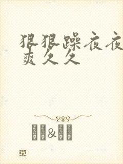 狠狠躁夜夜躁人爽久久