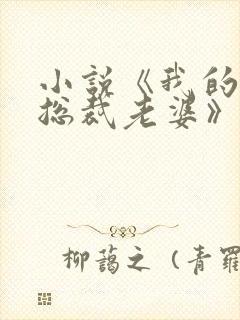 小说《我的冰山总裁老婆》