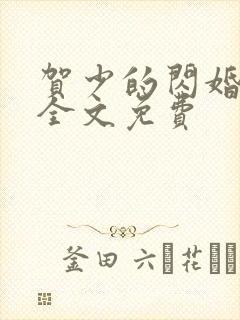 贺少的闪婚暖妻全文免费
