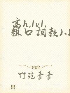 高h,1v1,粗口调教)小说