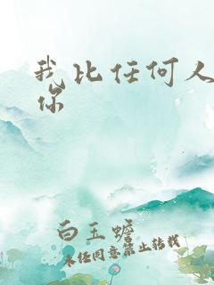 我比任何人都爱你
