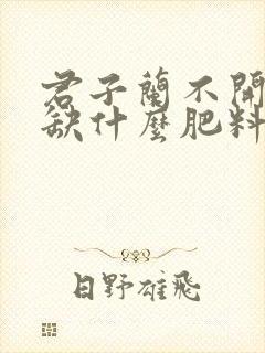 君子兰不开花是缺什么肥料