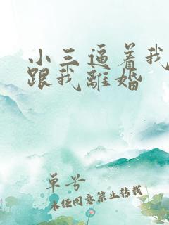小三逼着我老公跟我离婚