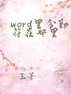 word里分节符在哪里