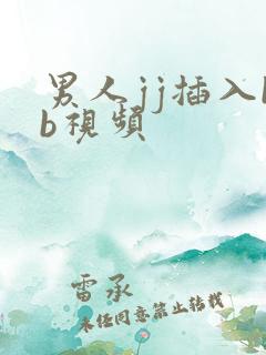 男人jj插入bb视频