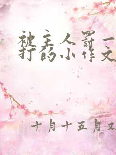 被主人罚一整天打的小作文