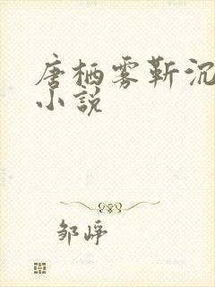 唐栖雾靳沉野的小说